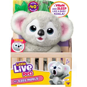 Little Live Pets Baby Koala Plush